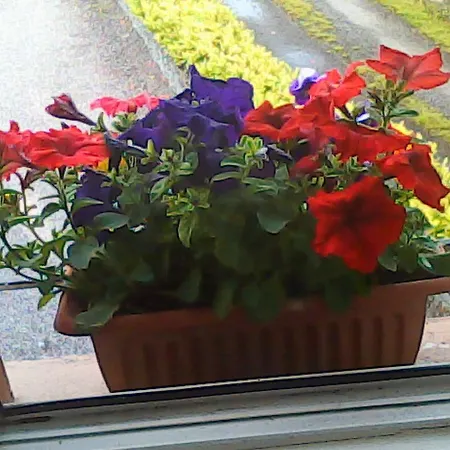 Tom And Eileen's Farmhouse Bed & Breakfast 4*