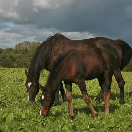 Tom And Eileen's Farmhouse 4*